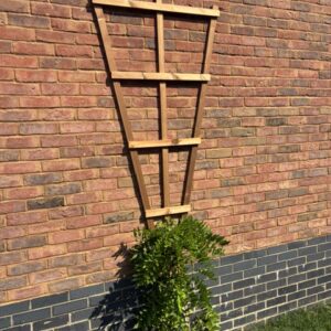 Fan Trellis Plant Support