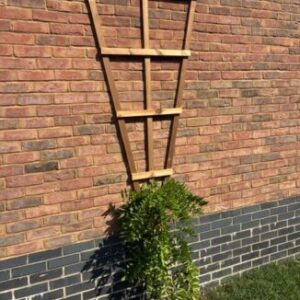 Fan Trellis Plant Support